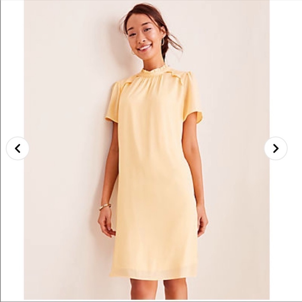Ann Taylor Eyelet Lace Trim Shift Dress w Ruffle Collar in Pastel Yellow Medium